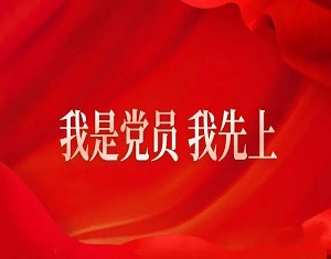 "我是党员我先上!"基层抗疫显担当